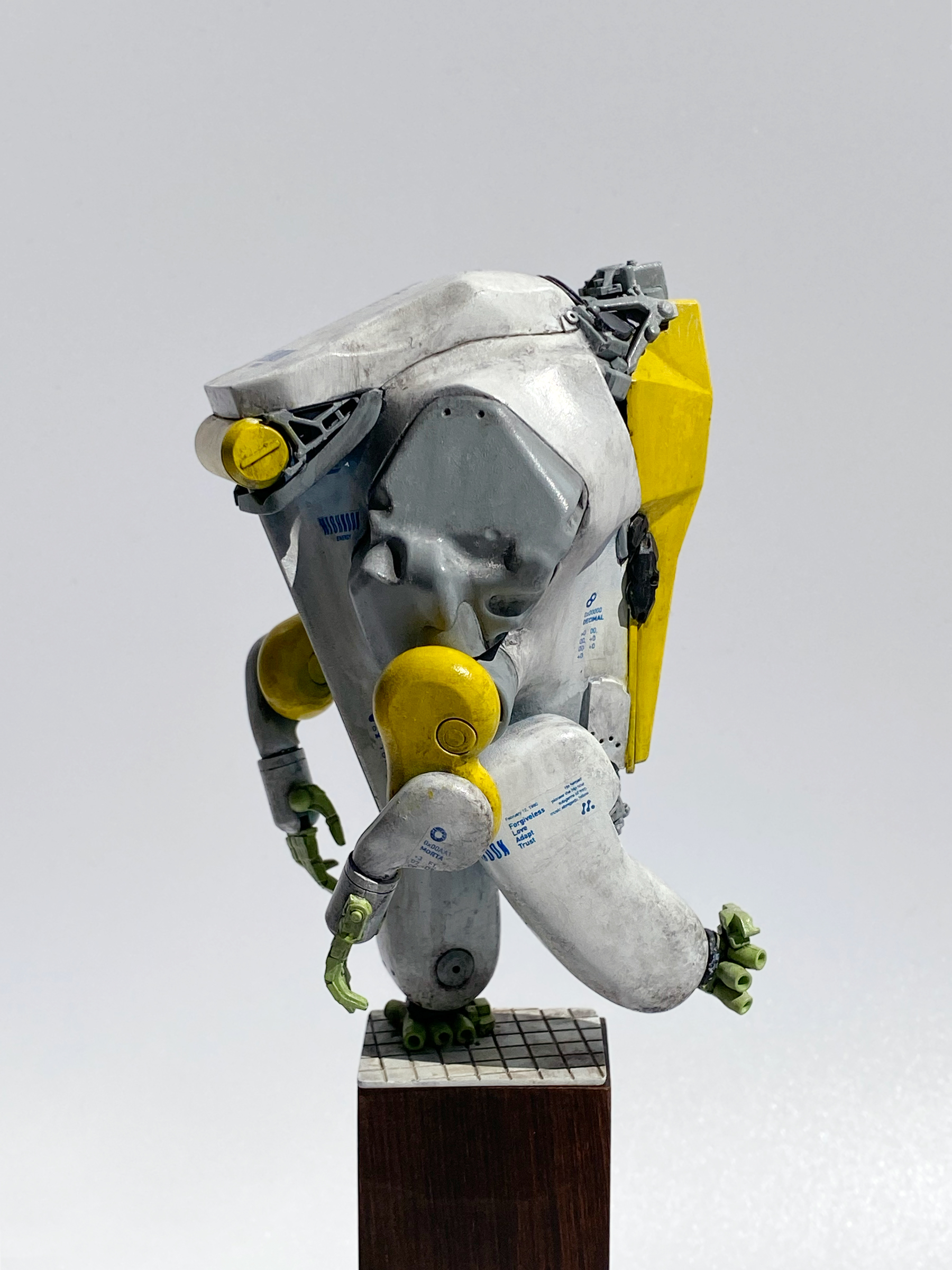 coffinfly